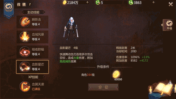 魔域20职业技能全面解析
