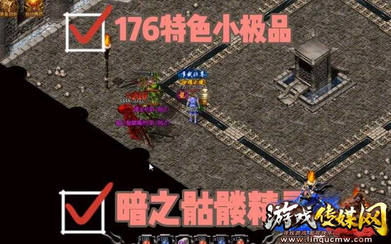 道士成功击败暗影骷髅精灵