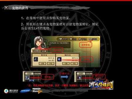 地下城与勇士韩服宠物合成攻略,地下城与勇士韩服宠物合成攻略!