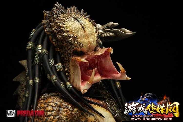 铁血骨杀:刻印绝杀