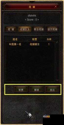 奇迹mu组队委托队长队长怎么操作,奇迹MU组队委托操作指南