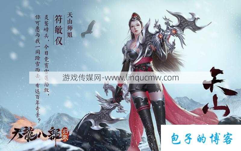 天龙八部游戏双开什么职业好 