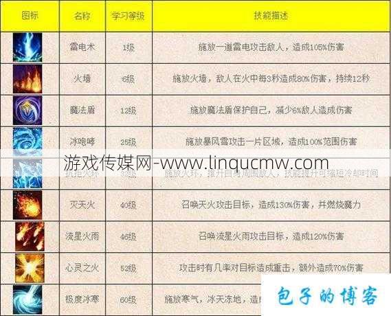 奇迹mu法师学什么技能,奇迹MU:法师技能全解