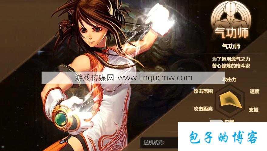 dnf游戏私服原创攻略解析:在dnf手游上玩的职业(DNF手游新手上路必备职业攻略)
