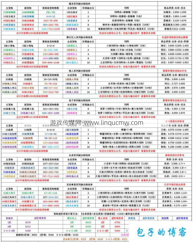 魔域攻略：合宠技巧全解