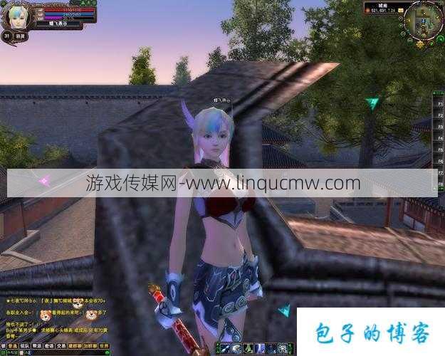 《完美国际网游SF职业选择玩家》