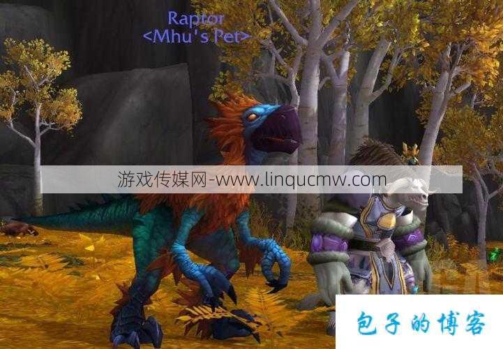 魔兽世界猎人打龙攻略,征服龙的最佳猎人策略!