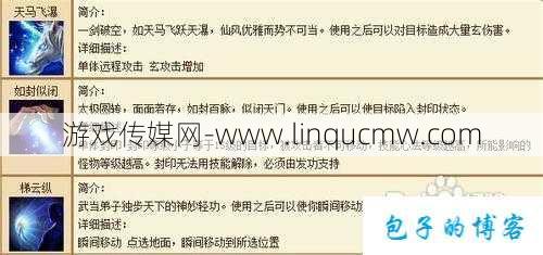 天龙私服,深度揭秘:天龙八部武当操作视频讲解