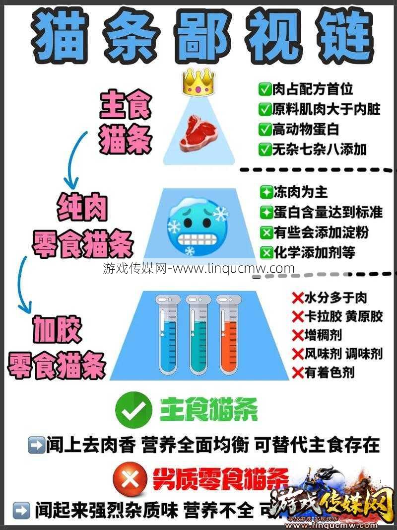 “完美国际宠物养成：食品选择与策略全解析”
