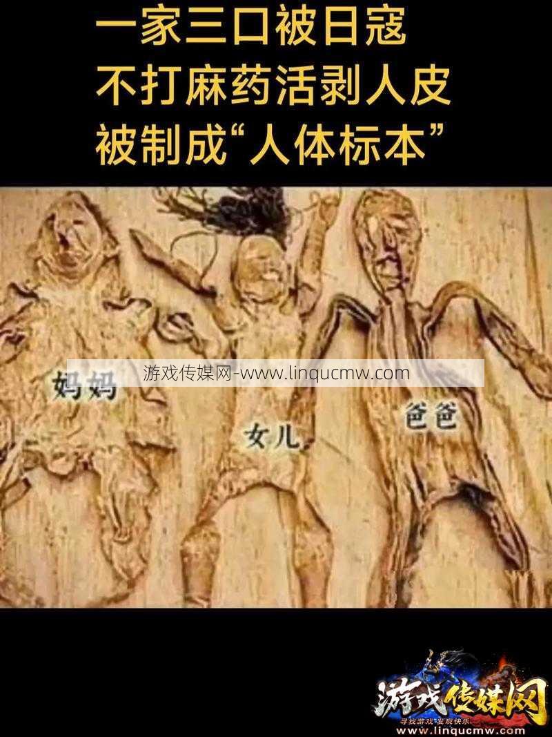 医学奇迹：病人意识恢复二十年的神奇经历