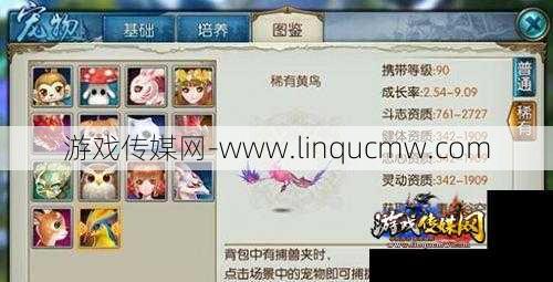 诛仙手游天音适合携带什么宠物