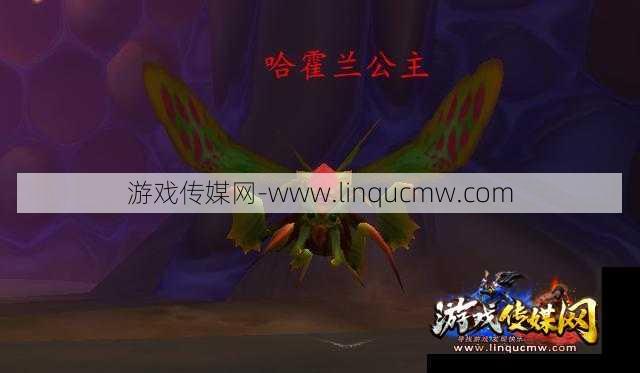 魔兽世界哈霍兰公主攻略,征服魔兽世界哈霍兰公主的技巧!