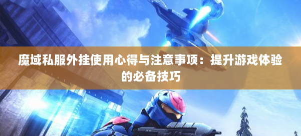 魔域私服外挂使用心得与注意事项:提升游戏体验的必备技巧