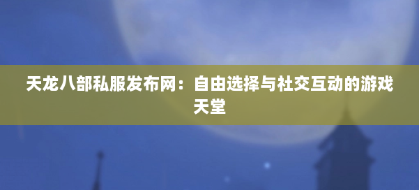 天龙八部私服发布网：自由选择与社交互动的游戏天堂