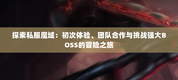 探索私服魔域：初次体验、团队合作与挑战强大BOSS的冒险之旅