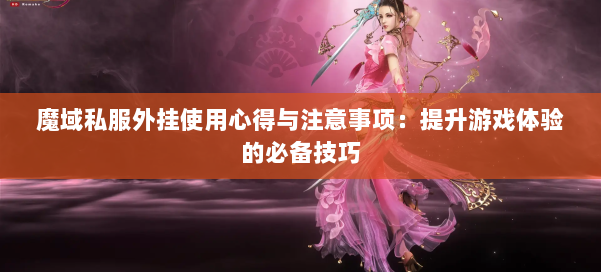 魔域私服外挂使用心得与注意事项：提升游戏体验的必备技巧 