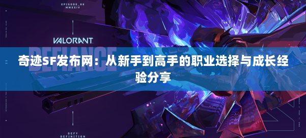 奇迹SF发布网:从新手到高手的职业选择与成长经验分享