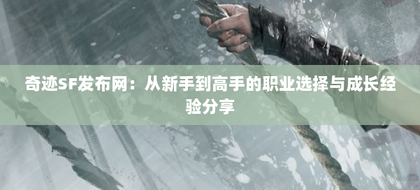 奇迹SF发布网：从新手到高手的职业选择与成长经验分享