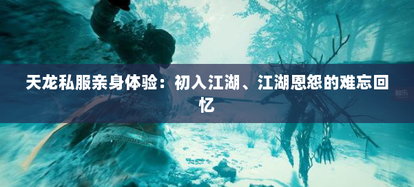 天龙私服亲身体验:初入江湖、江湖恩怨的难忘回忆
