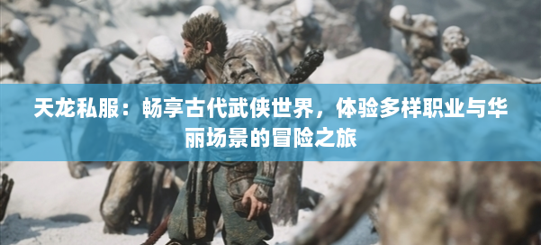 天龙私服:畅享古代武侠世界,体验多样职业与华丽场景的冒险之旅