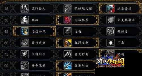 魔兽世界sf80兽王猎人攻略,80级兽王猎人攻略分享