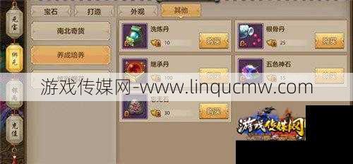 天龙八部手游洗练丹,优化玄机，炼就巅峰装备