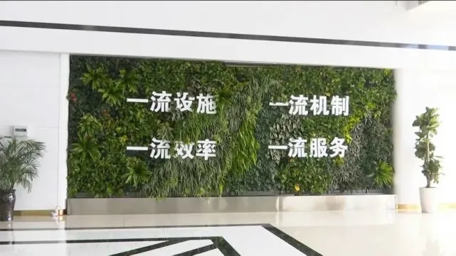 基层公务人员探讨放管服课题：简政放权、强化监管、优化服务，让