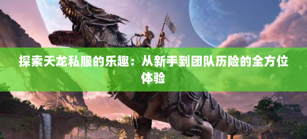 探索天龙私服的乐趣：从新手到团队历险的全方位体验