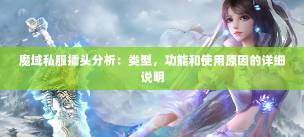 魔域私服插头分析:类型,功能和使用原因的详细说明