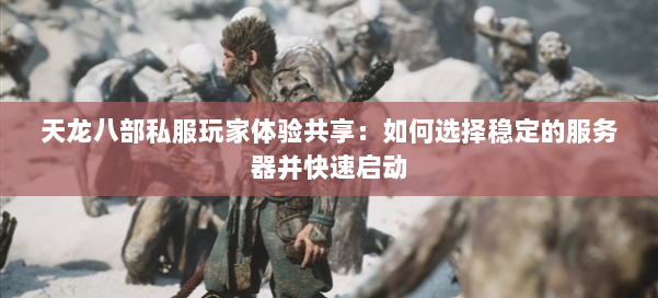 天龙八部私服玩家体验共享：如何选择稳定的服务器并快速启动