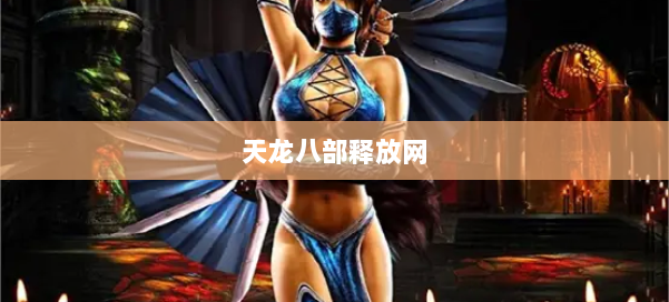 天龙八部释放网