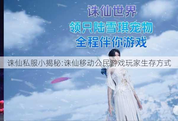 诛仙私服小揭秘:诛仙移动公民游戏玩家生存方式 