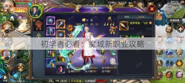 初学者必看：魔域新职业攻略