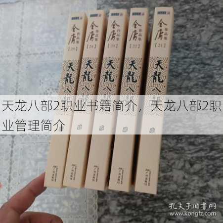 天龙八部2职业书籍简介，天龙八部2职业管理简介