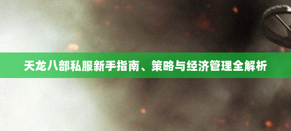 天龙八部私服新手指南、策略与经济管理全解析