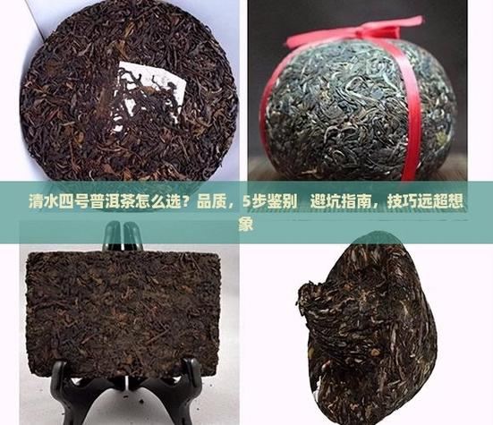 梦幻西游sf怎么选？老玩家掏心窝子的避坑指南