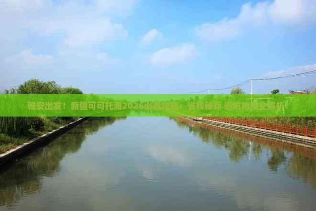 天龙sf避坑指南:资深老玩家教你选对服不掉坑 天龙sf特色_天龙sf_天龙sf最新