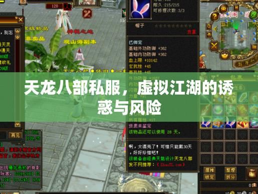天龙八部私服真的能玩吗 玩家必看的风险指南