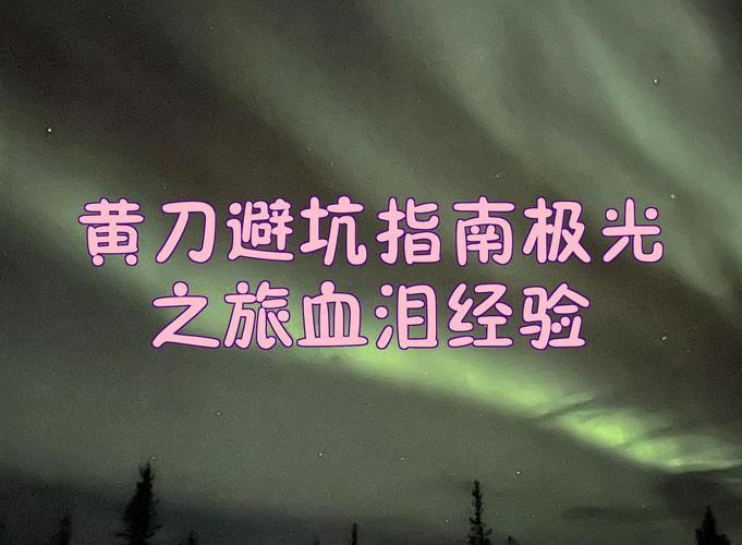 天龙私服避坑指南：老玩家血泪经验，帮你少走十年弯路