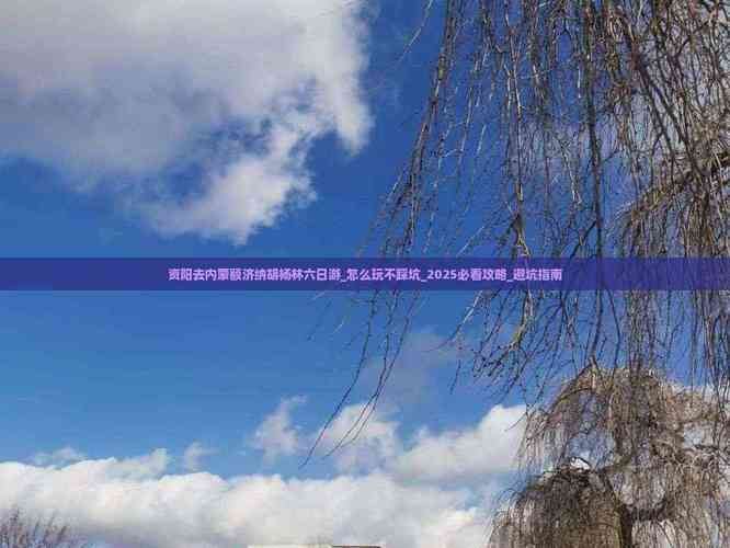 奇迹SF发布网：老玩家教你稳选靠谱服，别再踩坑了！