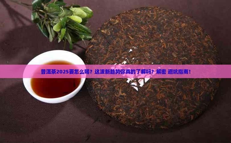 奇迹SF避坑指南:老玩家教你识别靠谱服 奇迹sf网站_奇迹sf_公益奇迹sf