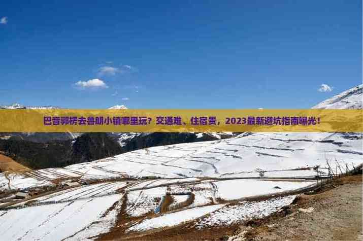 天龙sf真的能玩吗 资深玩家忠告与避坑指南