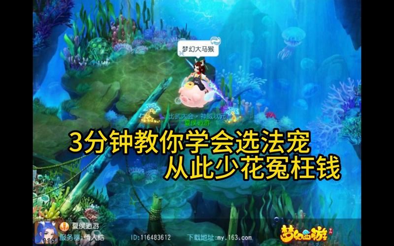 梦幻西游私服：十年老玩家教你避坑选服，少花冤枉钱！