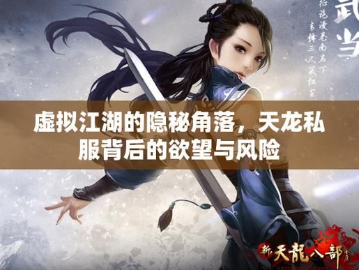 天龙八部私服能玩吗 揭秘这些服务器的真实风险