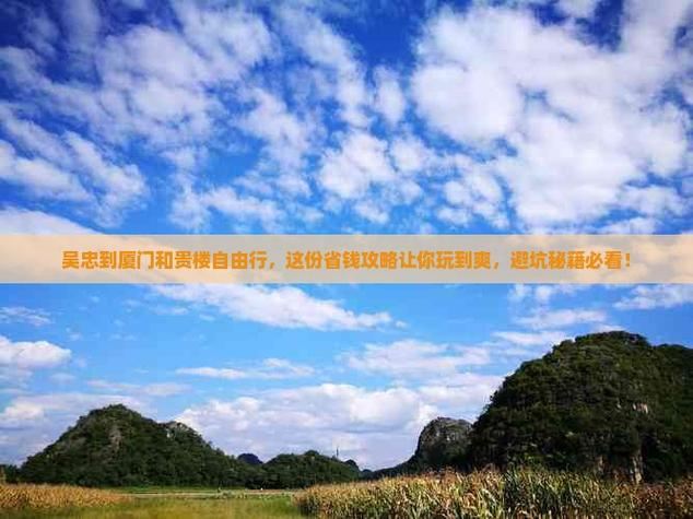 魔域sf避坑指南：别让GM割韭菜