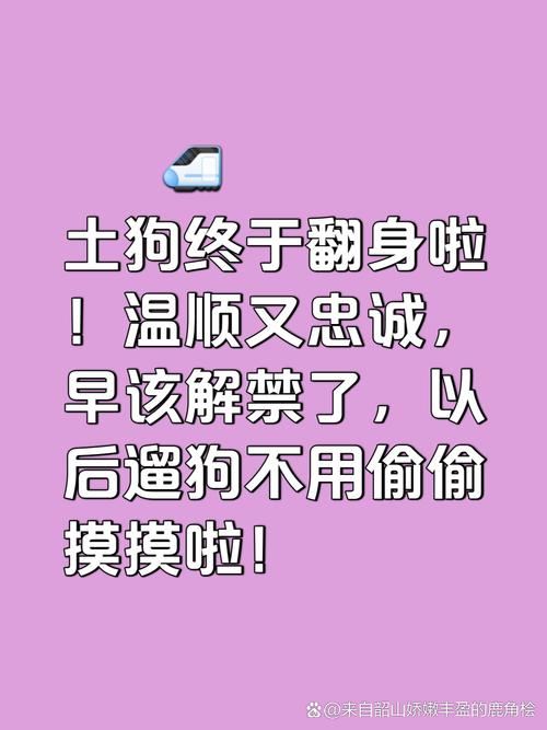 天龙八部发布网，老玩家的血泪忠告：别让你的情怀喂了狗！