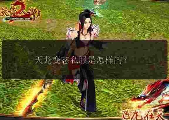 天龙八部sf玩家必看：老玩家教你避开这些坑